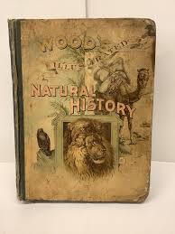 Wood's New Illustrated Natural History by Wood, Rev. J.G. ...