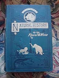 The Illustrated Natural History: Birds by J G Wood: Fair ...