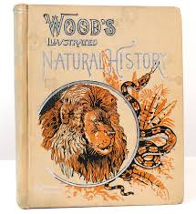 ILLUSTRATED NATURAL HISTORY | J. G. Wood | Altemus Edition