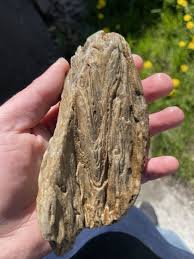 Super Unique, Polished, Agatized/opalized petrified wood | eBay