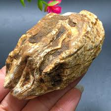 251g Bonsai Suiseki-Natural Gobi Agate Eyes Stone-Rare ...