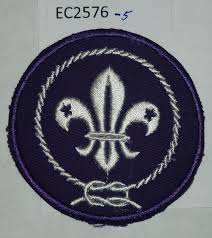 Boy Scout World Crest | eBay