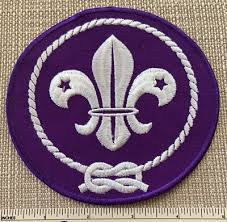 WORLD SCOUTING CREST Boy Scout Uniform Badge ...