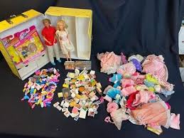 Barbie dolls, case, clothes, shoes, accessories; lot viii | eBay
