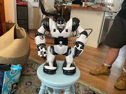 This Was Designed By A NASA Engineer Its Called Wowwee ...