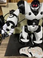 2004 Wowwee Robot for sale | eBay