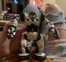 Wow Wee Robot | eBay