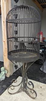 Antique xl wrought iron bird cage I scored from Facebook ...