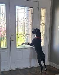 Don't forget November 4th, 8am-4pm