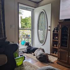 Happy Friday first one of the new school year | Facebook