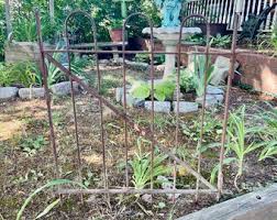 Antique Wrought Iron Garden Gate: Victorian Hairpin Fence, Architectural Salvage - Etsy