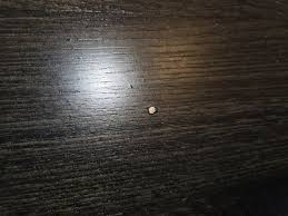 Am I being unreasonable? : r/Flooring