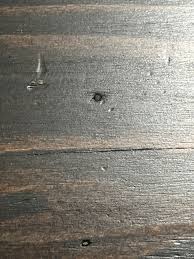 Are these bug holes? : r/woodworking