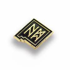 Cryptic New Mexico – Enamel Pin – Metal the Brand