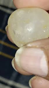 August 15, 2025 - YouTube