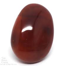 Carnelian Palm Stone - The Fossil Cartel