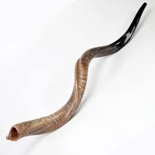 Buy Large Yemenite Kosher Shofar Horn (27.5-31 Inch ...