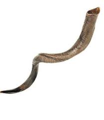 Kudu (Yemenite) Shofar – Shofar Call Store