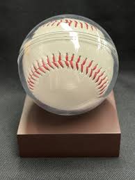 Koshien Stadium 100th Anniversary Official Ball 2024 ...