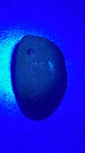 What type of black light is best for rock hounding in the dark?