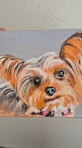 🎤🐾 “Now this is a story all about how…” 🎶 Bluey decided it was his moment to shine — belting out the Fresh Prince of Bel-Air theme like a true 90s pup