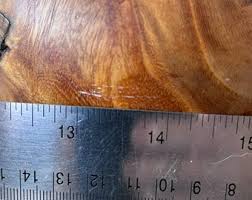 Hand Turned 6" Burl Wood Vase - Live Edge Artisan Farmhouse ...